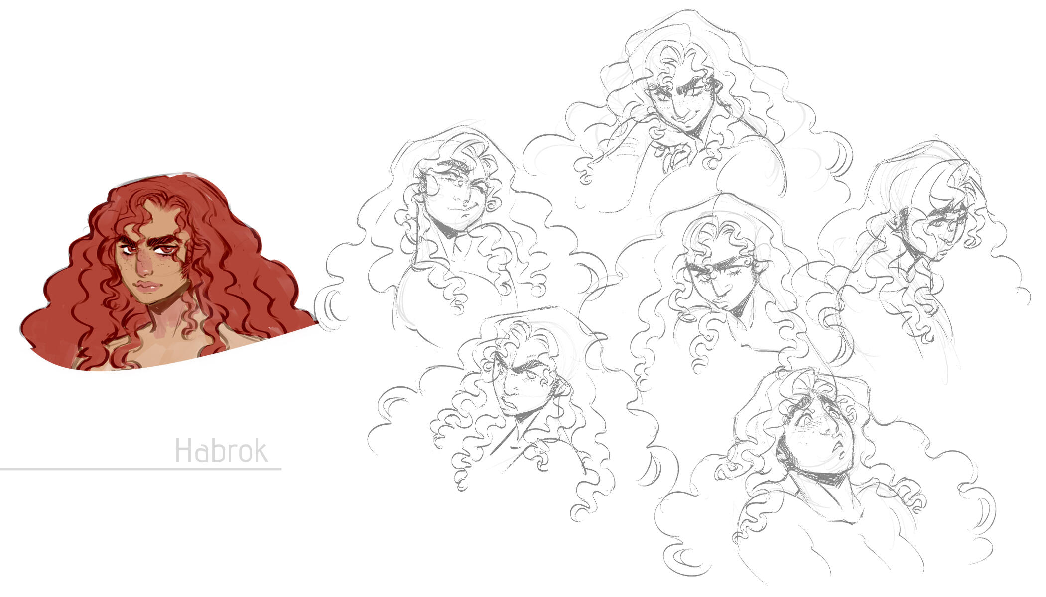 Habrok Expression Sheet